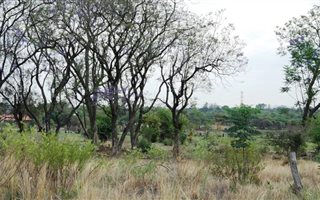8 ha Farm in Grootvlei