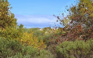 701 m² Land available in Struisbaai