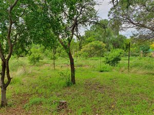 50 ha Farm in Thabazimbi