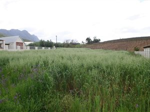 1084 m² Land available in Riebeek Kasteel