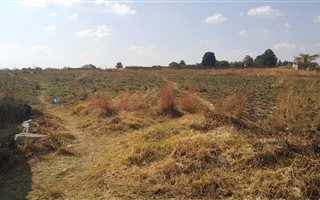 1.3 ha Farm in Noordwyk