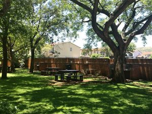 3 Bed Apartment in Sinoville