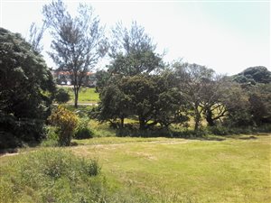 Commercial space in Park Rynie