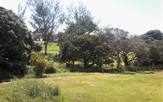 Commercial space in Park Rynie