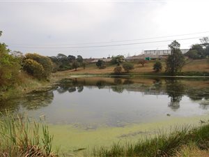 100 ha Land available in Camperdown