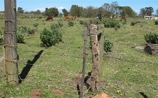 6028 m² Land available in Humansdorp