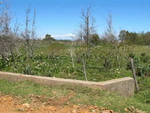 6028 m² Land available in Humansdorp