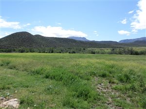 19 ha Farm in Oudtshoorn