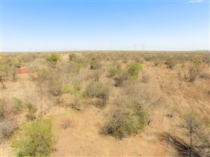21 ha Farm in Dinokeng