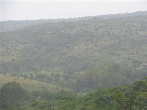 21 ha Farm in Mookgophong (Naboomspruit)