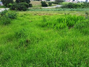 5027 m² Land available in Pacaltsdorp