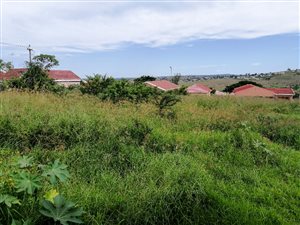 446 m² Land available in King Williams Town