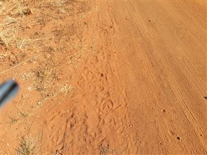 1 ha Land available in Rietvlei View