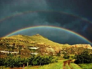 1415 m² Farm in Ficksburg
