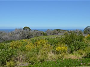 1.5 ha Land available in Pezula Private Estate