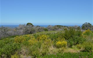 1.5 ha Land available in Pezula Private Estate