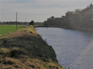 40 ha Farm in Addo
