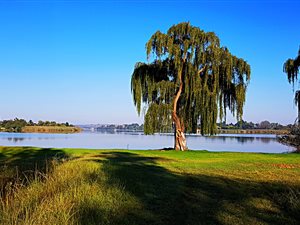 8.5 ha Land available in Miravaal