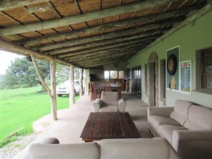 392 ha Farm in Grahamstown