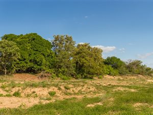 5626 m² Land available in Zandspruit Bush and Aero Estate