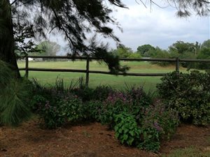 1 ha Land available in Bridle Park AH