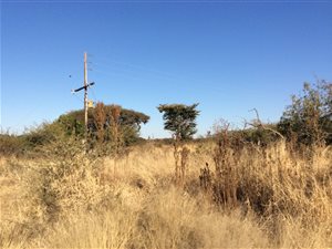 8 ha Farm in Tweefontein