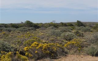 1997 m² Land available in Springerbaai Eco Estate