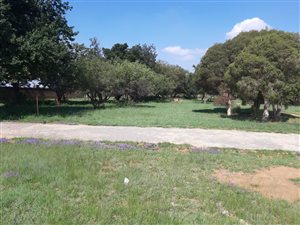 1050 m² Land available in Jameson Park