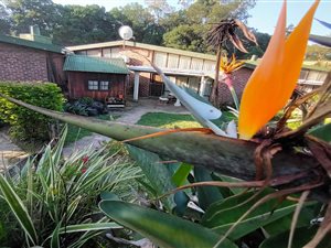 2 Bed Townhouse in Pinetown Central