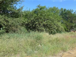3000 m² Land available in Komatipoort