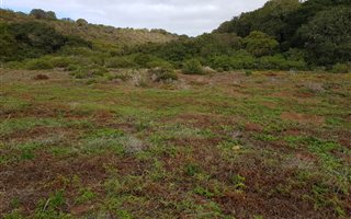 459 m² Land available in Still Bay West