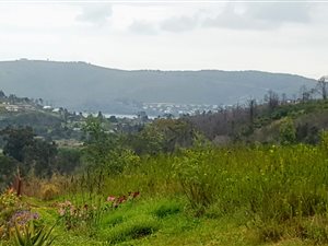 904 m² Land available in Green Pastures