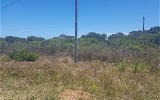 1221 m² Land available in C Place
