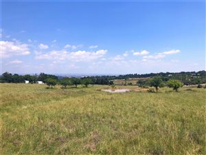 8 ha Land available in Sun Valley
