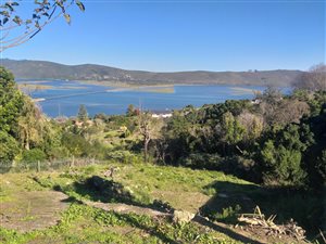 1975 m² Land available in Paradise