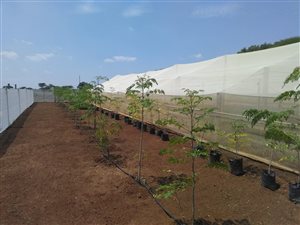 8.5 ha Farm in Honingnestkrans