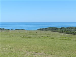 1300 m² Land available in Cintsa