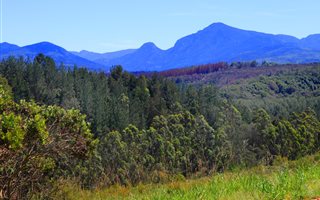 1548 m² Land available in Welgelegen Estate