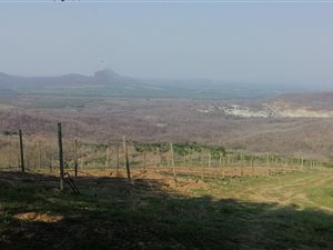 21 ha Farm in Tzaneen