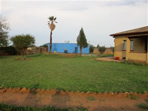 7 Bed House in Steelview