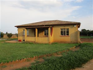 7 Bed House in Steelview