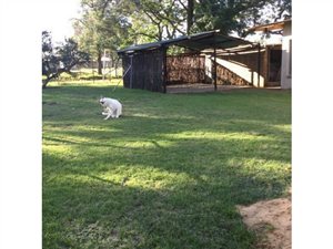 2 Bed Garden Cottage in Benoni AH