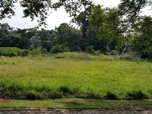 577 m² Land available in Eshowe