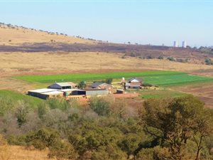 22.3 ha Farm in Laezonia