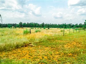 8000 m² Land available in De Deur