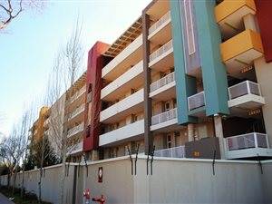 Bachelor apartment in Hillcrest