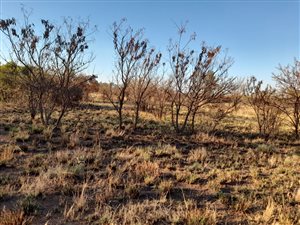 4.2 ha Farm in Rosslyn
