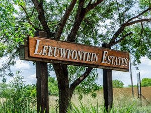 1 ha Land available in Leeuwfontein Estate
