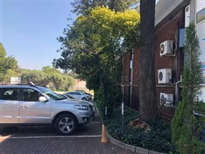 147 m² Commercial space in Senderwood