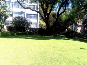3 Bed House in Melrose North